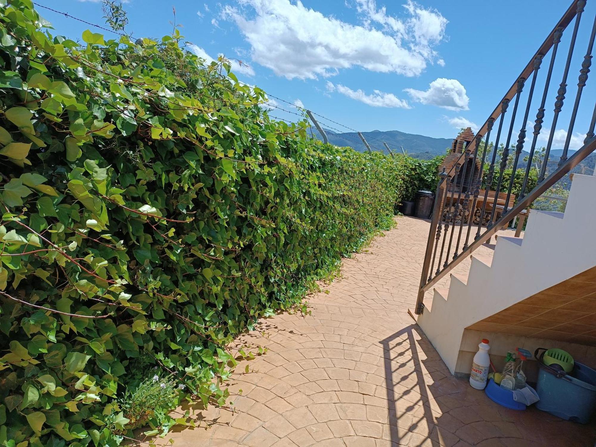 Country house La Revuelta Con Mejores Vistas A La Naturaleza Yunquera