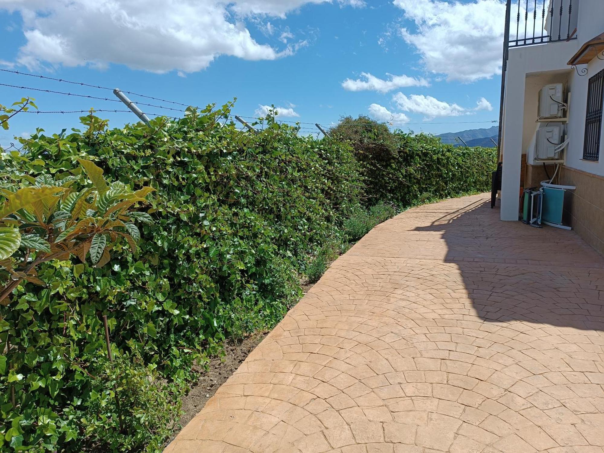 La Revuelta Con Mejores Vistas A La Naturaleza Country house Yunquera
